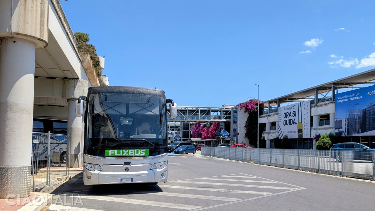 There are Flixbus routes to Matera both from Bari Airport and from the city.