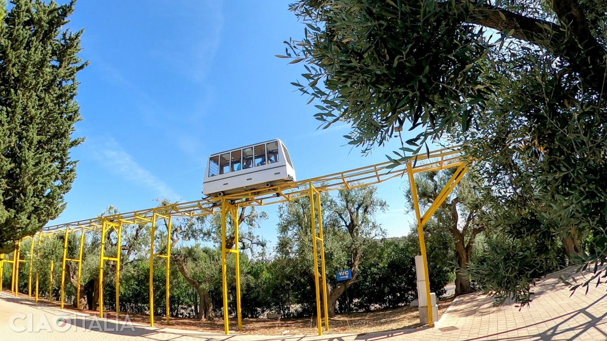 MetroZoo suspended mini train