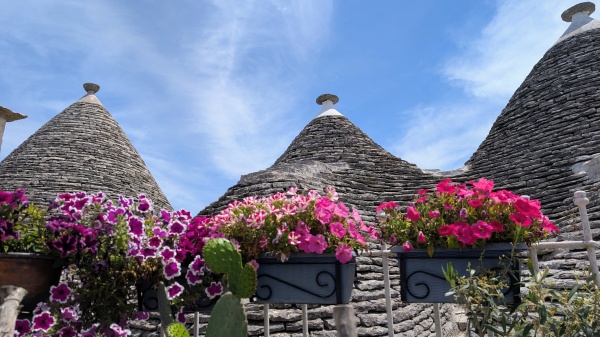 How to Get from Monopoli to Alberobello?