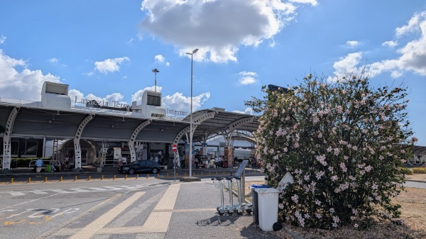 How to Get from Lamezia Terme Airport to Tropea?