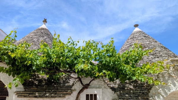 How to Get from Bari to Alberobello?
